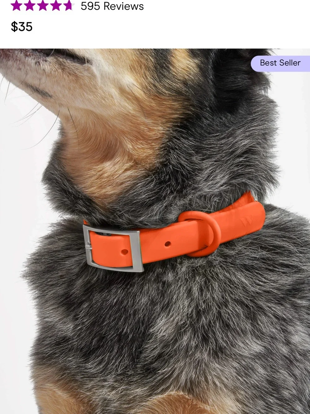 Orange Silicone Belt with Silver Buckle